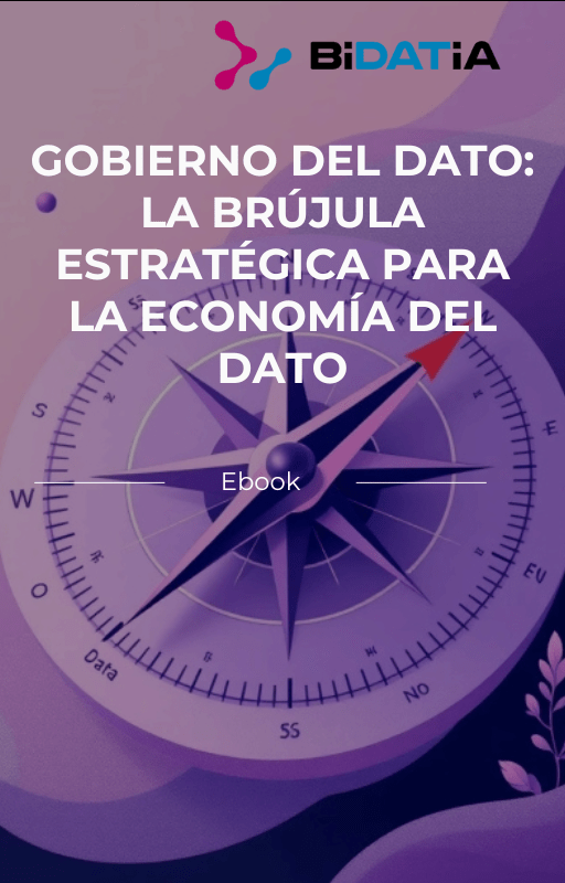 ebook Gobierno del Dato. Bidatia
