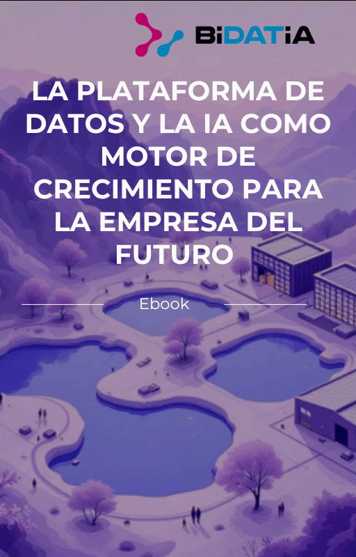 obook Plataforma de Datos y la IA Bidatia